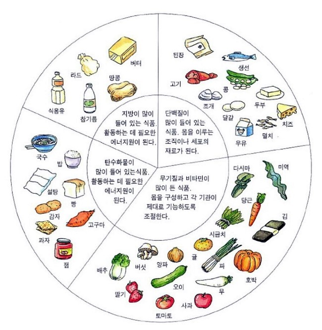 (건강팁/건강상식) 5대 영양소!!! : 네이버 블로그