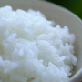여름에도 밥을 맛있게 먹는 쌀저장 방법
