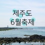 제주 6월 축제의 모든것