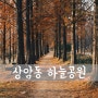 상암동 하늘공원 [ 서울 전경 / 서울 전경 명소 / 서울 전경 좋은곳 / 하늘공원 전경 & 메타세콰이아 ]