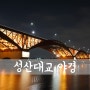 Seongsan Bridge, 城山大橋 #1 [ 서울 야경 / 서울 야경 명소 / 서울 야경 좋은곳 / 성산대교 한강공원 야경 ]