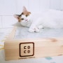 고양이 쿨매트 추천 b, 코코펫 고양이 대리석 쿨매트