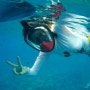 [하와이 여행]마우이 2일차~초승달 모양의 바닷속 분화구♥몰로키니 스노클링(Molokini Snorkeling)