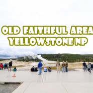 [Old Faithful Area] 옐로우스톤국립공원에서 가장 유명하고 볼거리가 가장 많은 올드페이스풀 지역정리(Black Sand, Biscuit, Midway Basin 등)