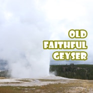 [올드 페이스풀-옐로우스톤국립공원]수십년간 일정한 시간에 분출하는 올드 페이스풀 간헐천(Old Faithful Geyser)을 볼 수 있는 올드페이스풀 비지터센터
