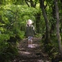 [제주 캠핑 3일차] #1 교래자연휴양림 곶자왈 산책