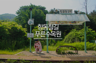 항동철길과 푸른수목원 - 서울 가볼만한곳