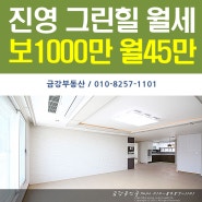 진영 신축빌라 그린힐타운 30평 보1000만 월45만