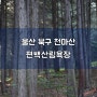 울산 북구 천마산 편백산림욕장