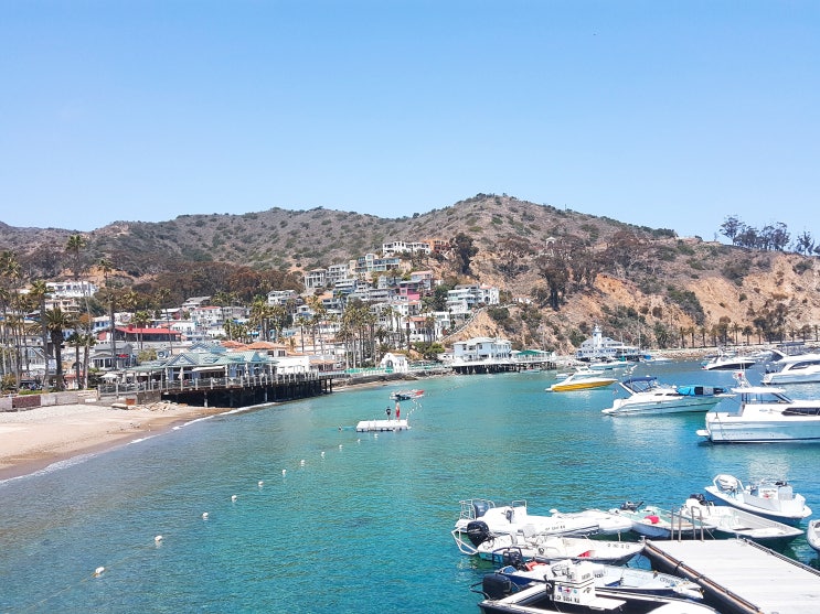 LA 자유여행 : 카탈리나 섬 (Catalina Island)  당일치기 : 네이버 블로그