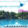 4박5일 홋카이도 북해도 아사히카와 비에이 후라노 여행 #7- 하늘을 담은 푸른 연못 : 청의 호수 - 아오이이케 (青い池) / + 08/2016