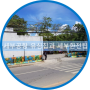 세부공항유심칩과 세부환전팁