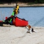 비글 햇살이의 카누 캠핑
