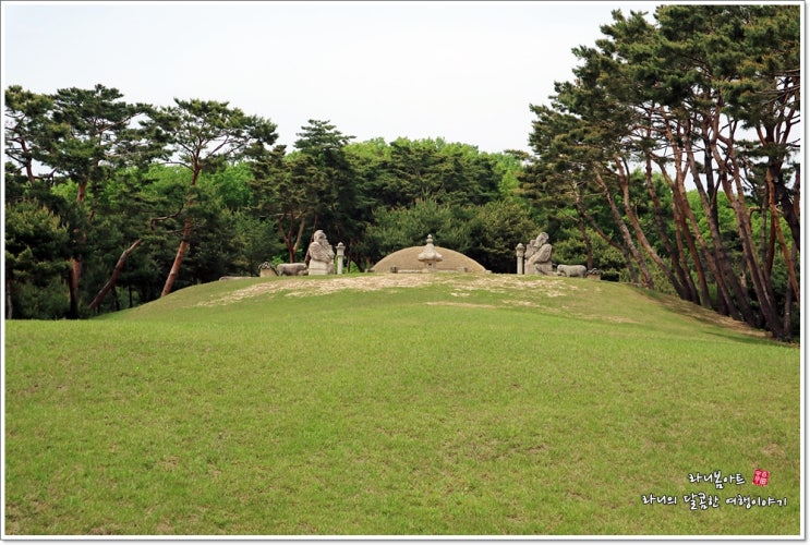태강릉 숲길개방-서울근교 가볼만한곳 : 네이버 블로그