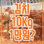 김치는 담구는게 아니라 사는거다? 10Kg 만원?