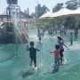 의정부 민락동 물사랑공원 무료 물놀이터 즐기기