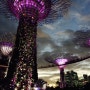 싱가포르여행:: 싱가폴 여행 필수 관광지 네곳