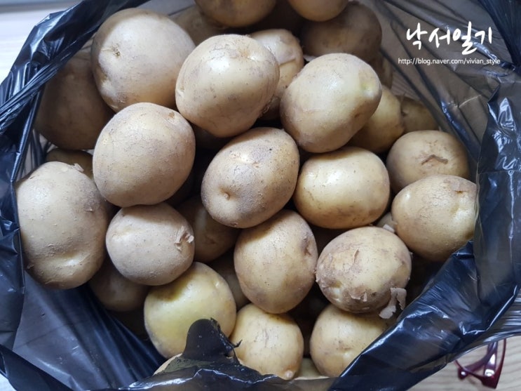 [감자보관법 첫번째] 감자 실온보관! 냉장보관하면 안된다? : 네이버 블로그