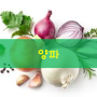 [공부]-2주: 식이요법에서 사용되는 주요 식용식물과 건강효과 1 - 양파