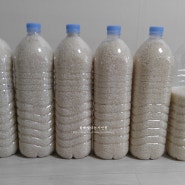 쌀 보관방법 : 빈 페트병으로 쌀보관 + 냉장보관 하기