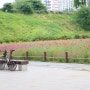 남양주시 무료 물놀이장 :D 삼패한강공원 풍경
