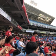 뜨거웠던 삼성 라이온즈파크에서 월드컵 응원을!