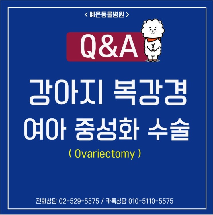 강아지 여아 중성화 : 복강경 수술 (Ovariectomy) : 네이버 블로그