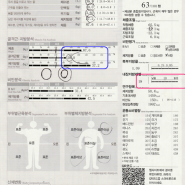 마이다스짐 PT 후기[포항헬스,포항pt,포항헬스장,포항운동]