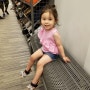 28개월아기 미국일상, 유아 타투, 페파피그 타투, 그녀의 세번째 여름, 엄마의 작은 텃밭 시작!