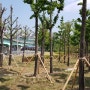 용인시, 상갈동 고속도로 인근 유휴지에 생태도시숲 조성