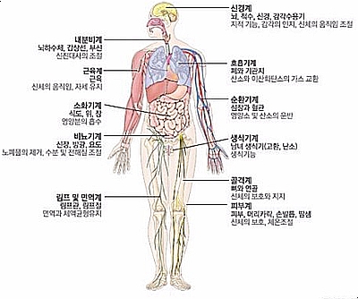 위염에 좋은 과일도 있네요!! : 네이버 블로그