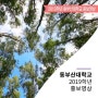 동부산대학교 2019학년도 홍보영상