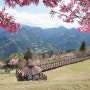 혼여 Day2 대만 타이중여행 - 칭징농장