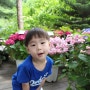 서울근교여행하기좋은곳'아침고요수목원' 4살 아기랑 다녀왔어요:)