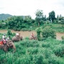 태국 자유여행 5일차_3 (깐짜나부리 투어, 코끼리 트래킹, 땟목투어)