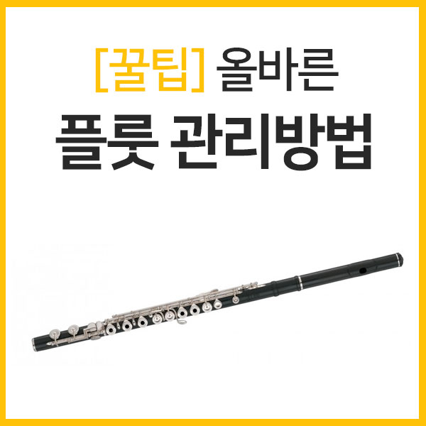 [꿀팁] 안전한 플룻 보관방법 (플룻보관 꿀팁/플룻청소팁/플룻수리/플룻관리법/플룻관리방법) : 네이버 블로그