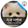[이벤트] 반려동물 치과 스케일링 시 엑스레이 진료 무료지원