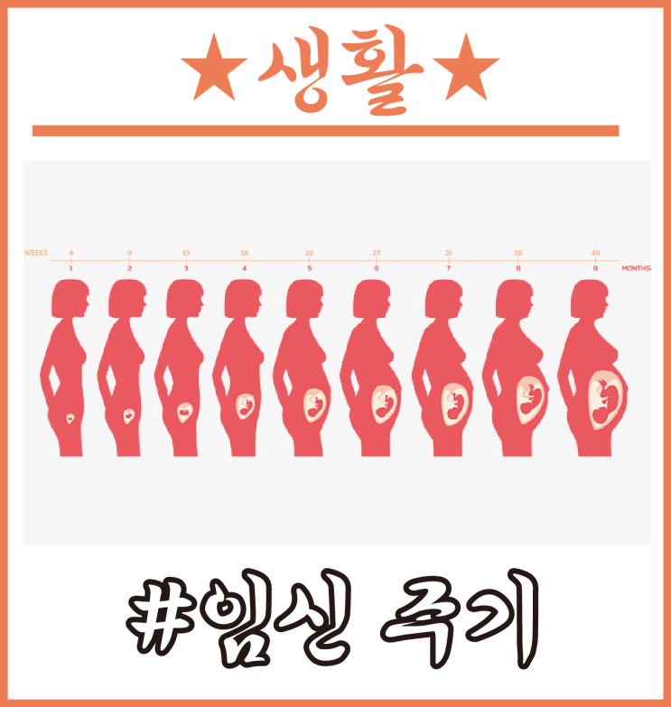 가임기 :: 배란일계산기와 임신주수계산기에 대해서 : 네이버 블로그