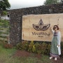 [하와이 여행]마우이 3일차~마우이 드라이브♥하나로드(Road to Hana)~마우이 와이너리,마마스 피시 하우스 레스토랑