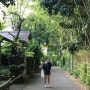 일본 오사카 3박 4일 자유여행 코스 18탄 관광 명소 아라시야마역 <대나무숲> 인생샷 건지려면 필수!