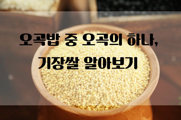 [기장쌀]#오곡밥 #기장쌀 #기장쌀효능 : 네이버 블로그