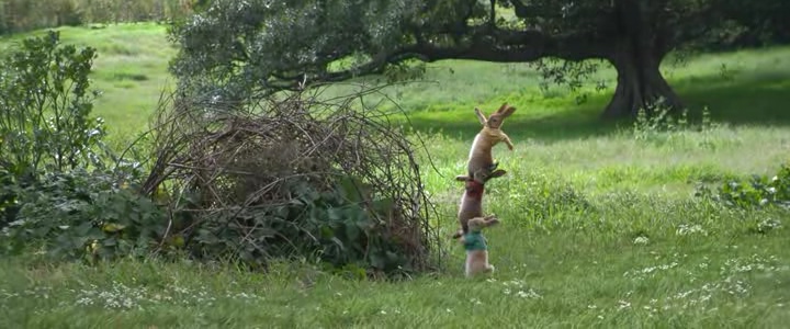 Peter Rabbit -01- Jul. 2, 2018 강의 : 네이버 블로그