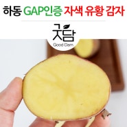 [자색유황감자] 하동 GAP 자색 유황 감자