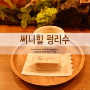 대만 써니힐 펑리수, 고급진 대만여행선물 :)