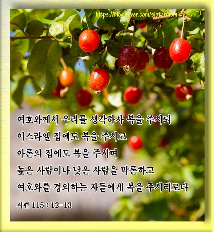 [아침묵상] 축복성구 복을 주시고, 복을 주시며, 복을 주시리로다 : 네이버 블로그