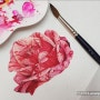 수라야장미 수채화 보타니컬아트 꽃그리기
