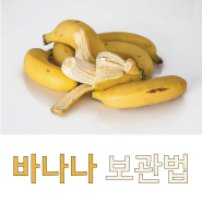 바나나 보관법 / 바나나 보관 방법 / 바나나 보관하는 법 / 바나나 효능 / 바나나 고르는 법