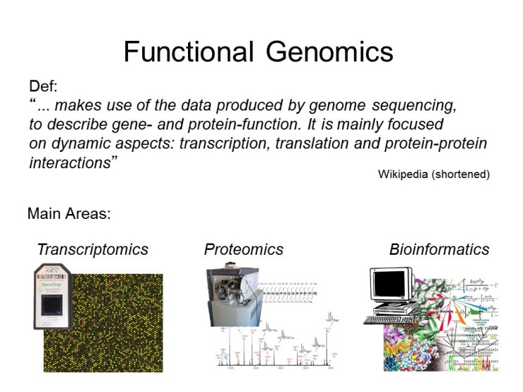 [Functional Genomics] 기능 유전체학이란? : 네이버 블로그
