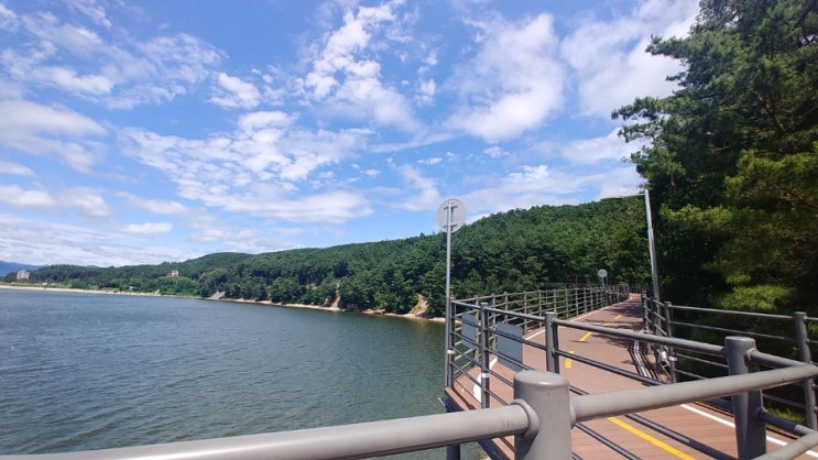 춘천 자전거 대여료