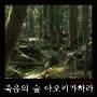 죽음의 숲 '주카이(じゅかい)'- 죽음을 부르는 아오키가하라의 진실은?